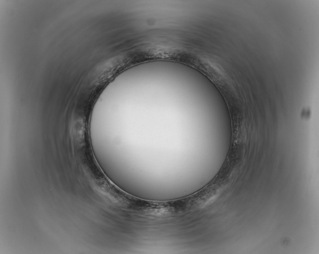 X0000091660646200709061021