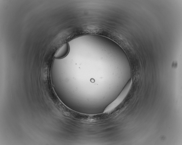 X0000091660647200709061021