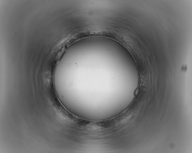 X0000091660648200709061021