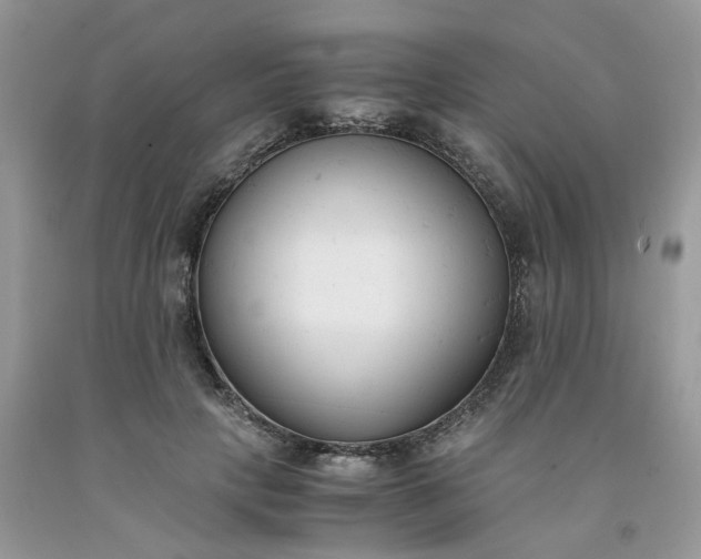 X0000091660649200709061021