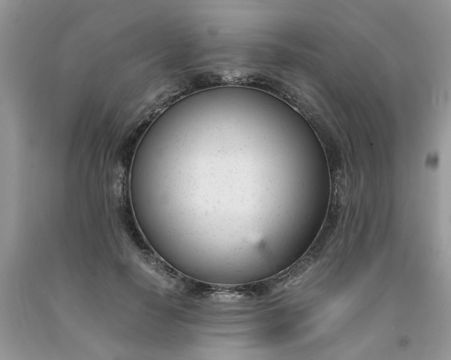 X0000091660650200709061021