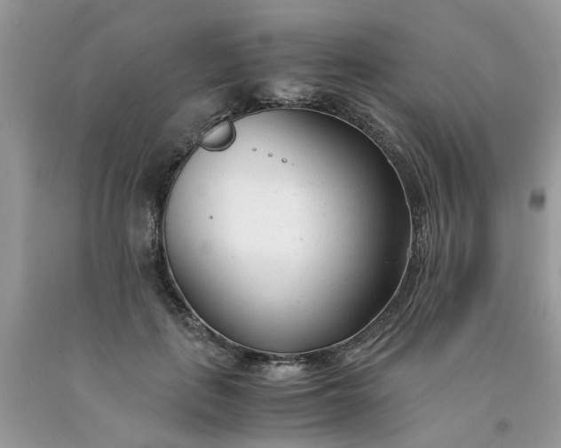 X0000091660651200709061021