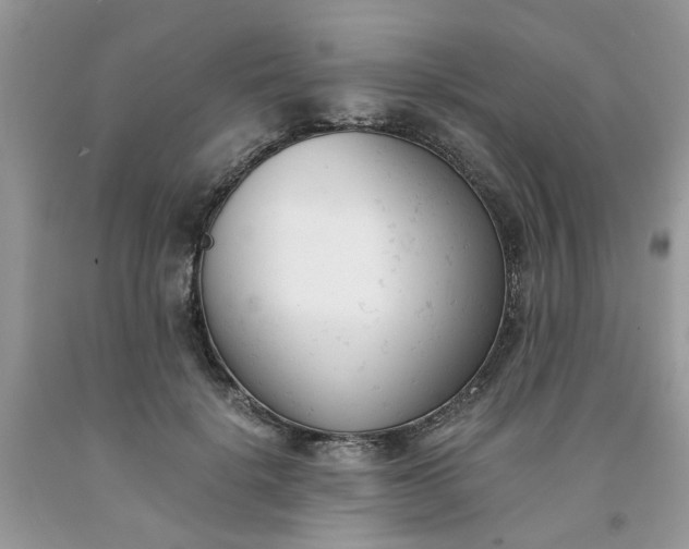 X0000091660652200709061021