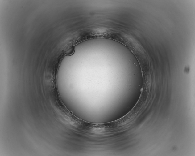 X0000091660653200709061021