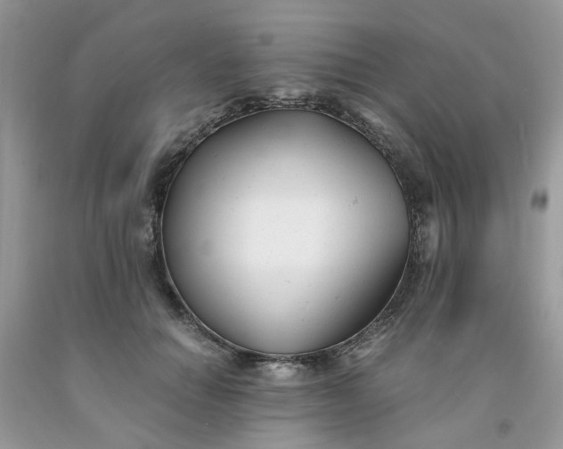 X0000091660654200709061021