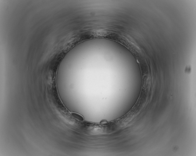 X0000091660655200709061021