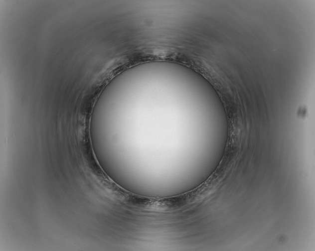 X0000091660656200709061021