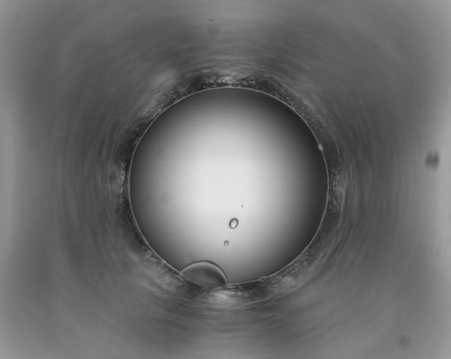 X0000091660657200709061021