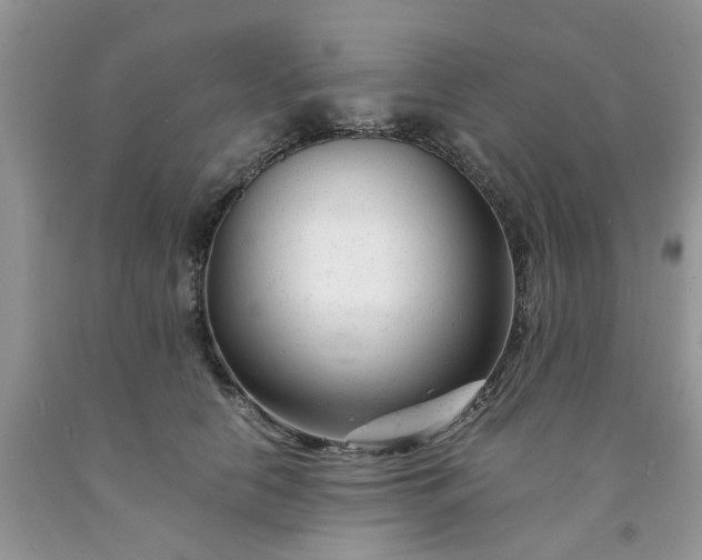 X0000091660658200709061021