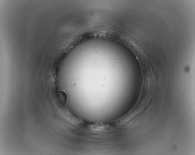 X0000091660661200709061022