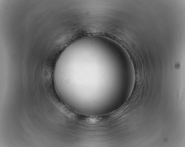 X0000091660662200709061022