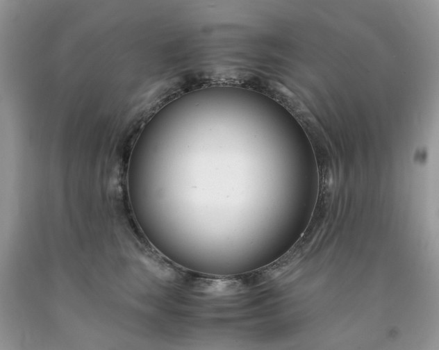 X0000091660663200709061022