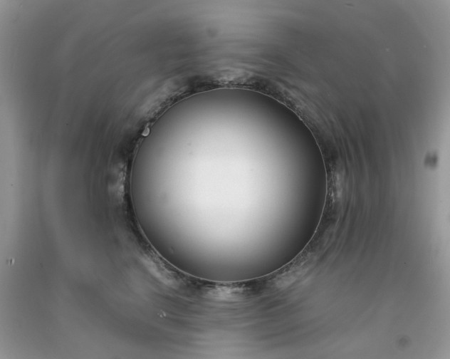 X0000091660664200709061022