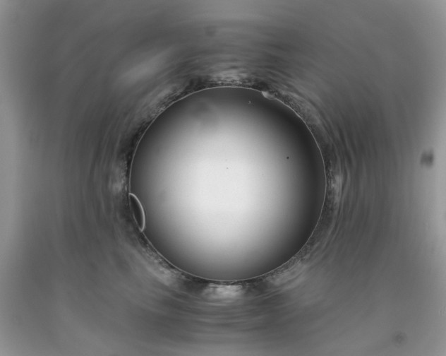 X0000091660665200709061022