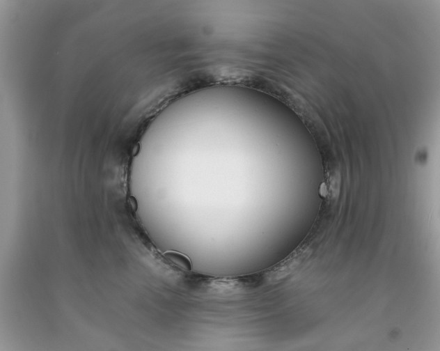 X0000091660666200709061022