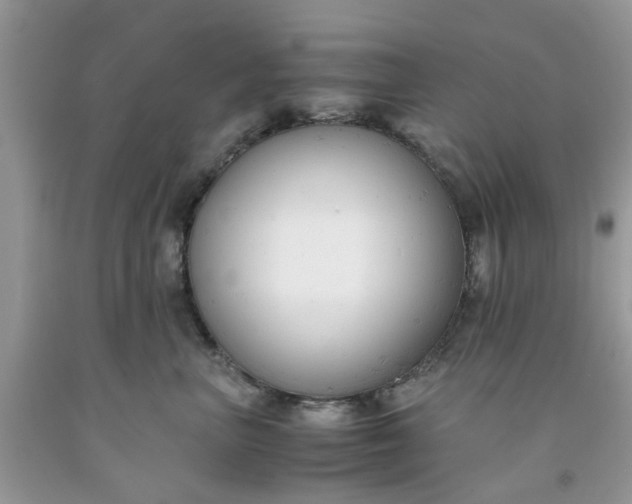 X0000091660667200709061022