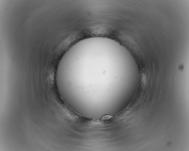 X0000091660668200709061022