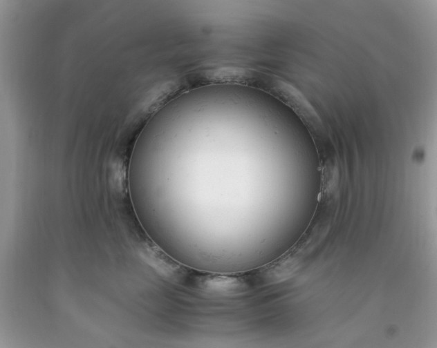 X0000091660669200709061022