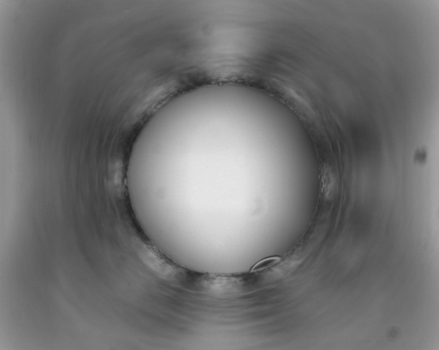 X0000091660670200709061022