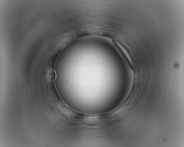 X0000091660671200709061022