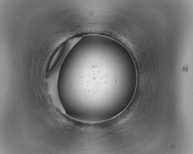 X0000091660673200709061021