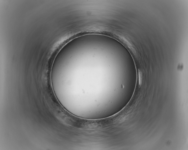 X0000091660675200709061021