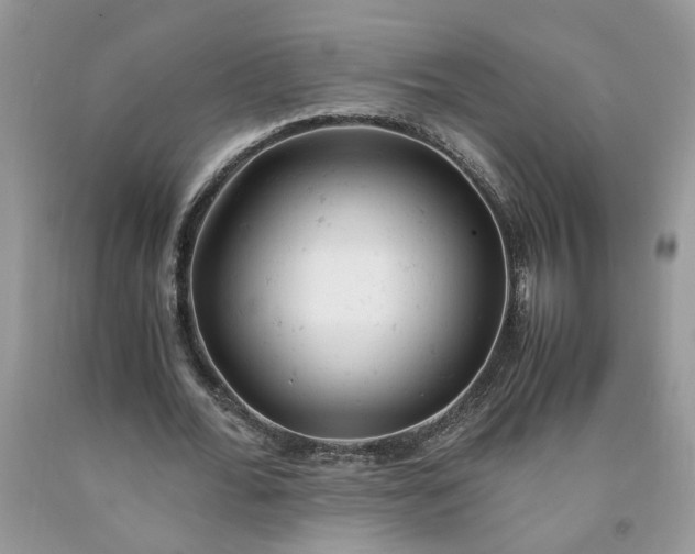 X0000091660676200709061021