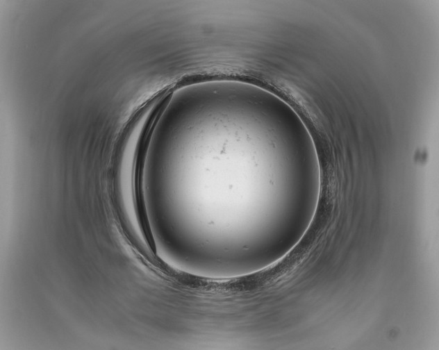 X0000091660677200709061021