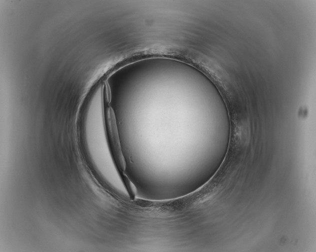 X0000091660678200709061021