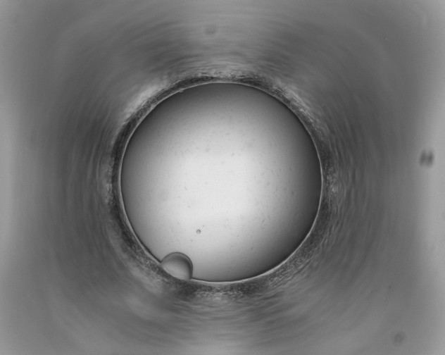 X0000091660679200709061021