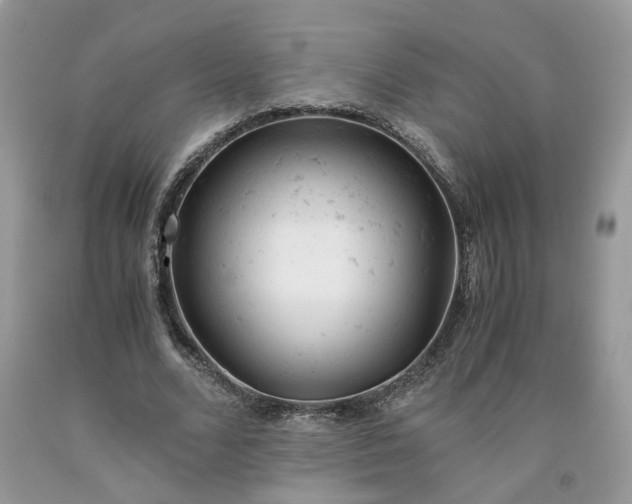 X0000091660680200709061021