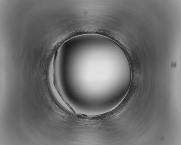 X0000091660681200709061021