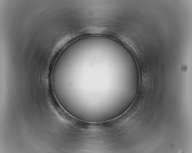 X0000091660682200709061021