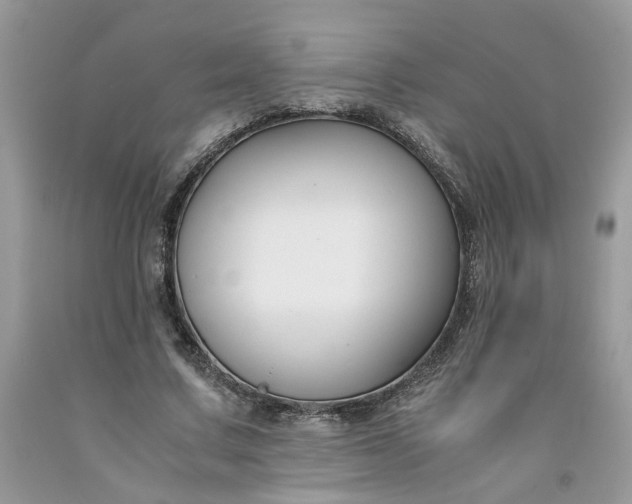 X0000091660683200709061021