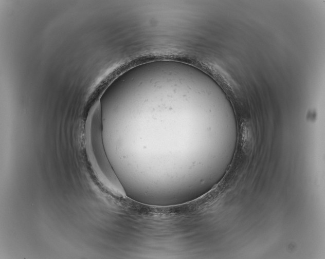 X0000091660684200709061021