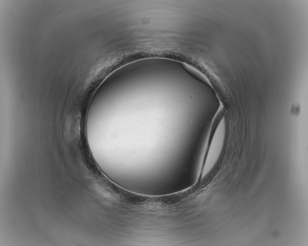 X0000091660685200709061021