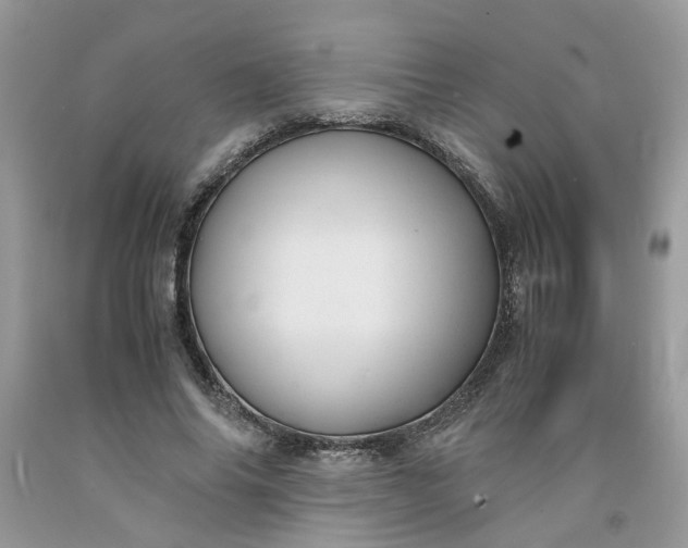 X0000091660686200709061021