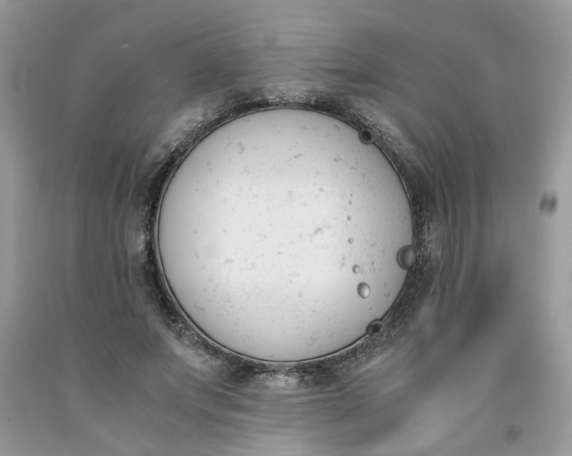 X0000091660687200709061021