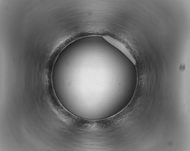 X0000091660688200709061021