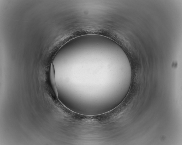 X0000091660689200709061021