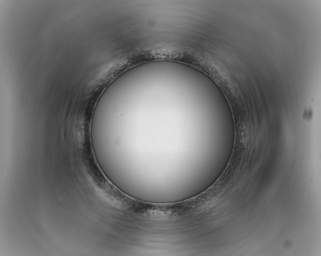 X0000091660690200709061021