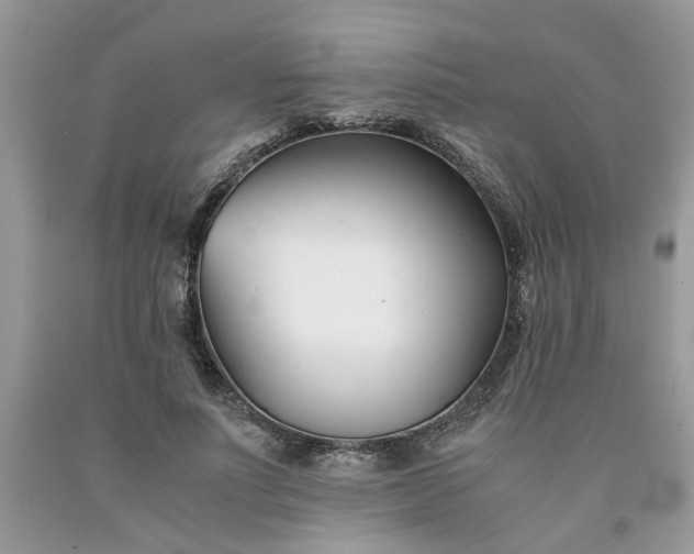 X0000091660691200709061021