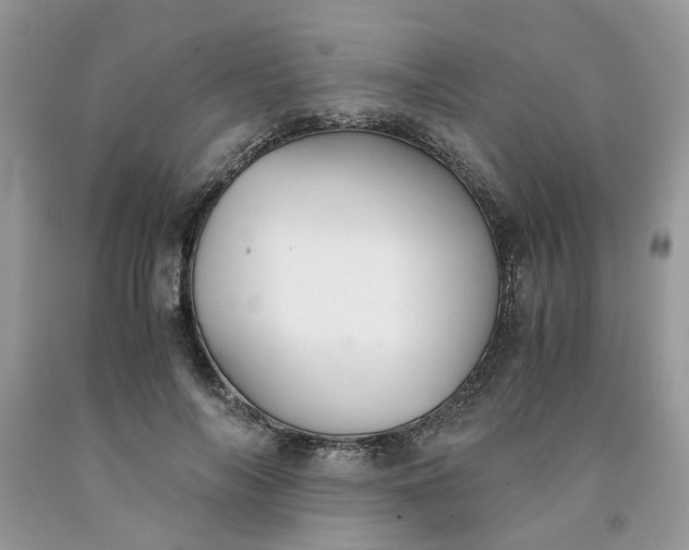 X0000091660694200709061021