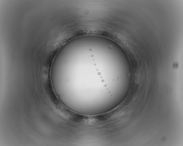 X0000091660695200709061021