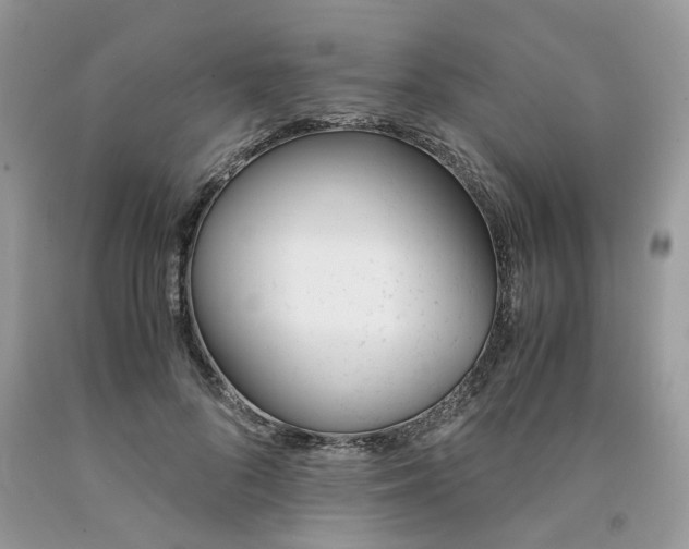 X0000091660696200709061021