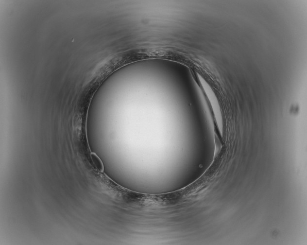 X0000091660697200709061021