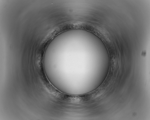 X0000091660698200709061021