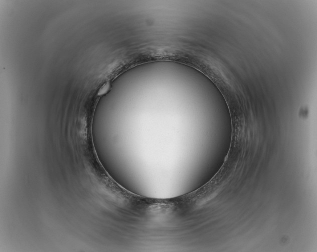 X0000091660700200709061021