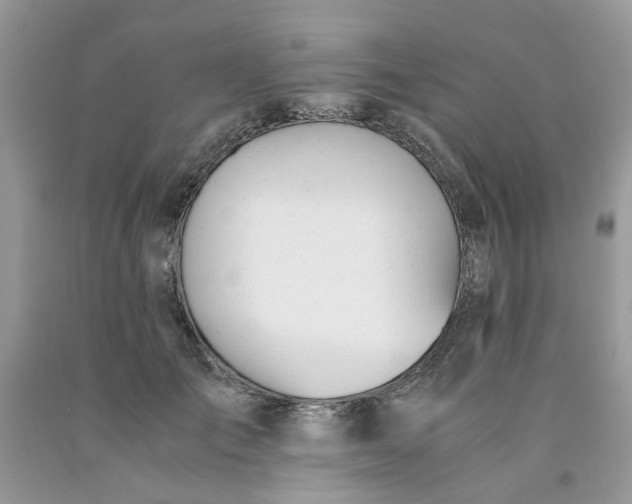 X0000091660701200709061021