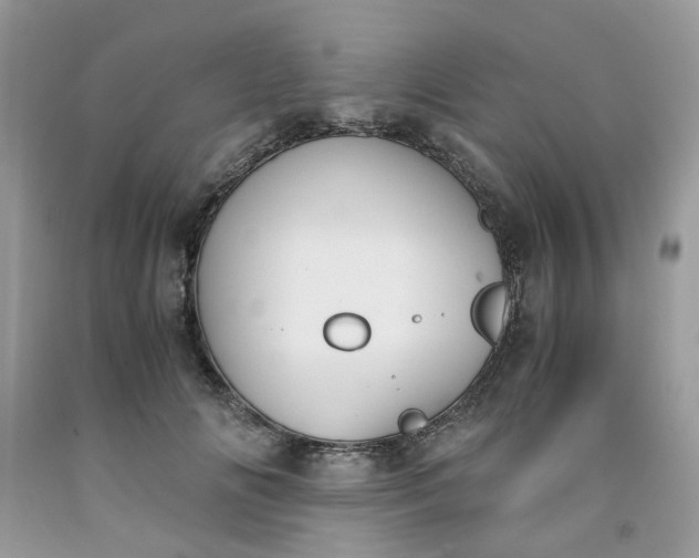 X0000091660702200709061021